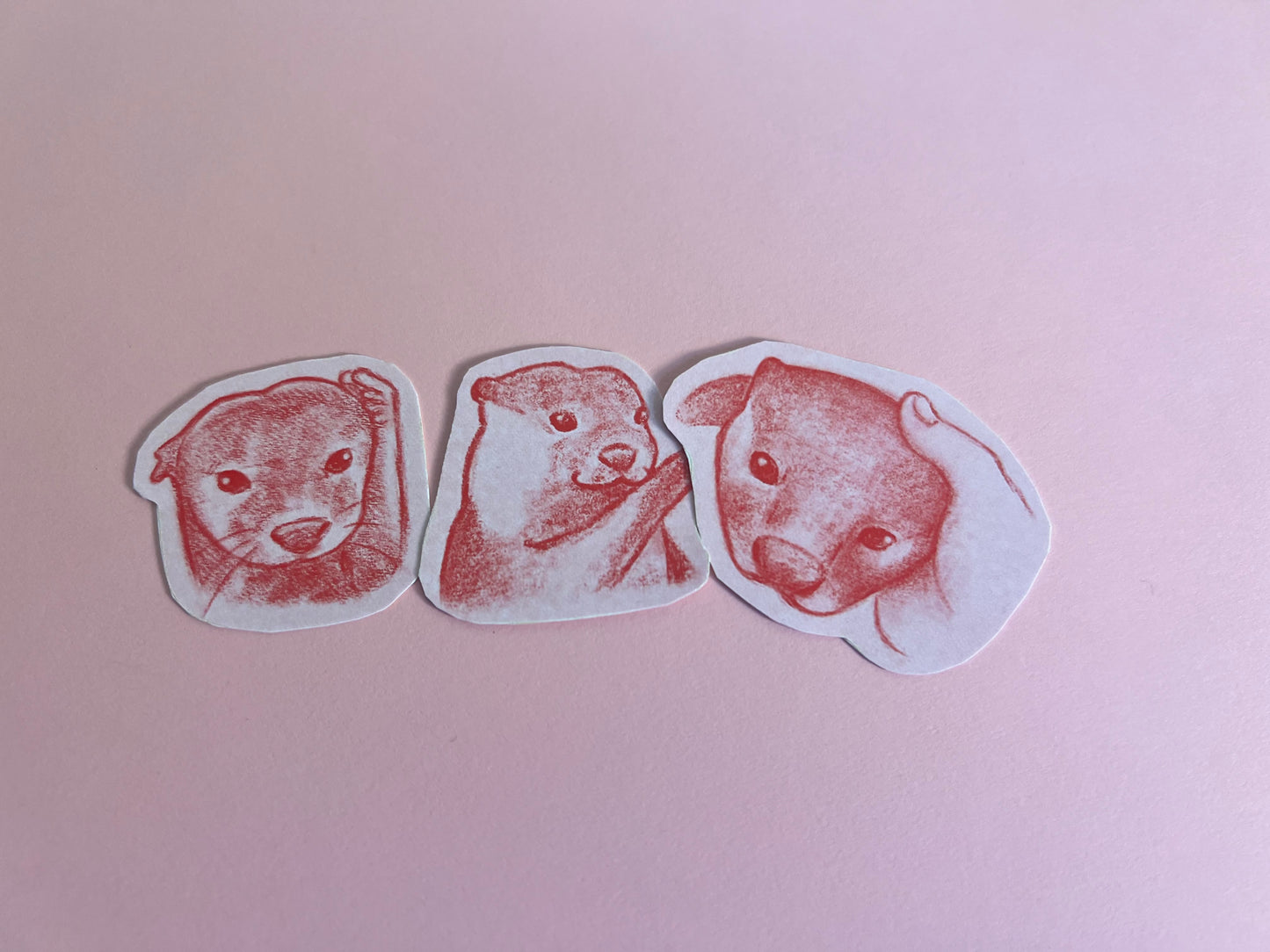 Otter sticker collection