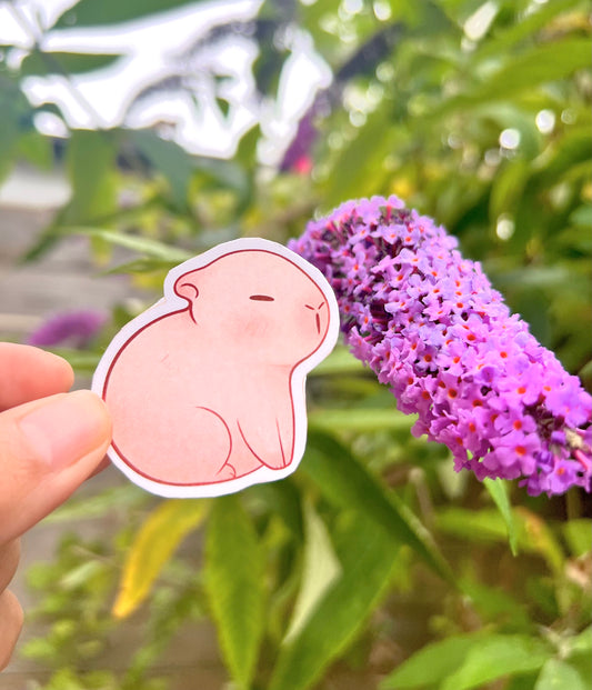 Cute Capybara Sticker
