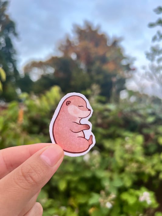 Cute sleepy otter sticker